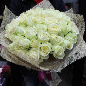 51 белая роза🌸