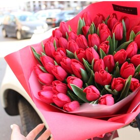 Красный тюльпан🌸