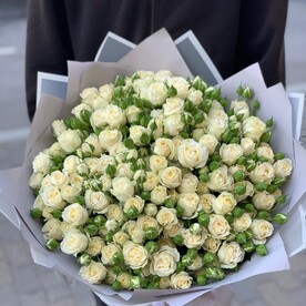 Зефирный поцелуй🌺