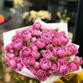 Пионовидная, кустовая роза🌸