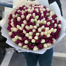 201 тюльпан микс🌸