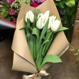 Белый тюльпан🌸