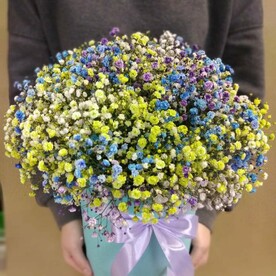 Яркие впечатления