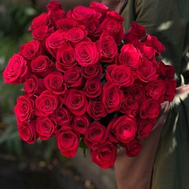 51 красная роза премиум сорта