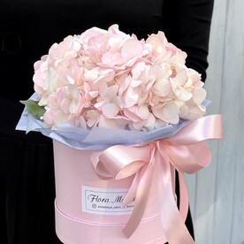 Гортензия нежно-розового оттенка в шляпной коробке