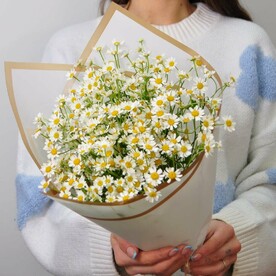 Душистые Ромашки, 11 штучек