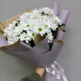 Хризантемы