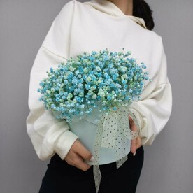 Гипсофила в коробке