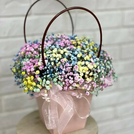 Радужная гипсофила в сумочке