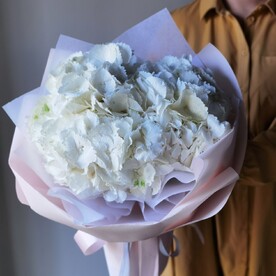 3 гортензии