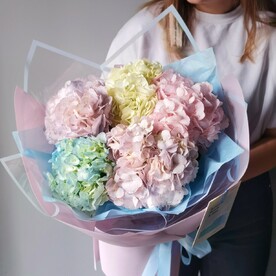 Микс из 5 гортензий