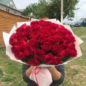 Роза красная 51 букет