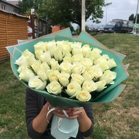 51 Роза белая