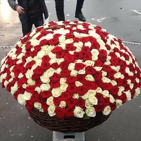 501 Роза в корзинке