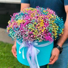 Радужная Гипсофила