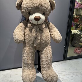 Мишка номер 160