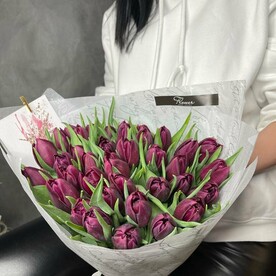 37 Тюльпанов