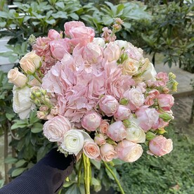 Ненаглядная