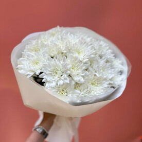 7 хризантем