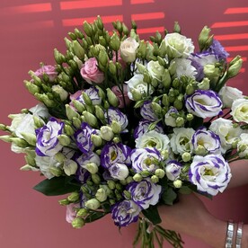 21 лизиантус