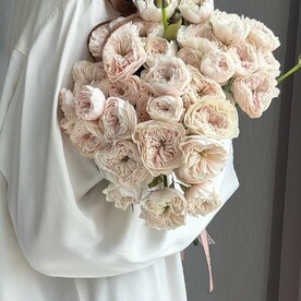 11 пионовидных роз