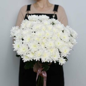 Букет из 9 веток кустовой хризантемы. Букет 119