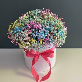 Радужная гипсофила в шляпной коробке. Букет 31