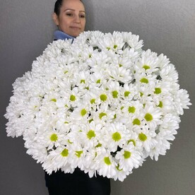 Букет из 25 веток ромашковой хризантемы