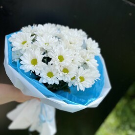 Очаровательные ромашки