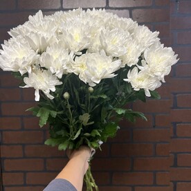 9 белоснежных хризантем