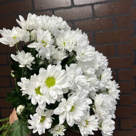 9 кустовых ромашек