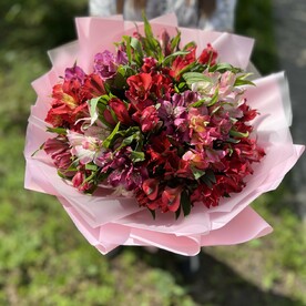 15 разноцветных альстромерий