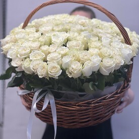 В корзине 101 белая роза