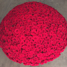 Букет из 501 розы