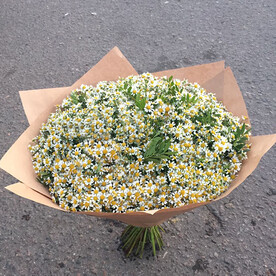 Букет из ромашек