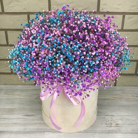 Разноцветная гипсофила в коробке