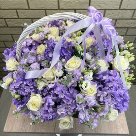 Композиция Эстетика