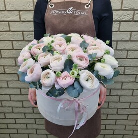 Нежные лютики