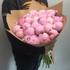 29 розовых пионов