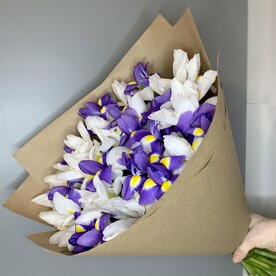 Ирисы микс 35💜