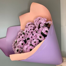 Кустовые хризантемы Сантини 11