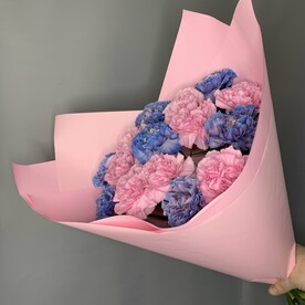 Диантусы микс 15