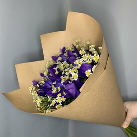 Ирисы и полевые ромашки