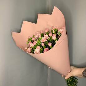 Кустовые розовые диантусы 25