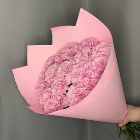 Розовые диантусы 17