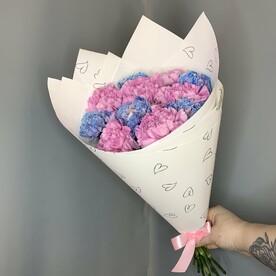 Диантусы микс 11🌿