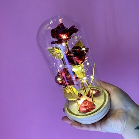 Розы в колбе светящиеся (02)