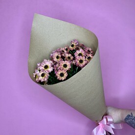 Кустовые хризантемы Сантини в крафте 5