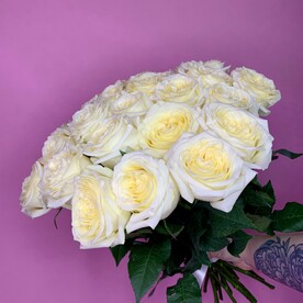 Розы пионовидные Канделайт под ленту 21