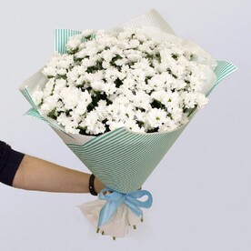 Летний ветерок